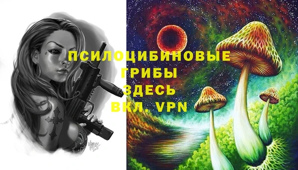 молекула духа Володарск