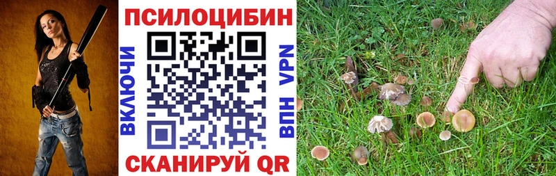 Галлюциногенные грибы прущие грибы  купить наркотик  Воркута 